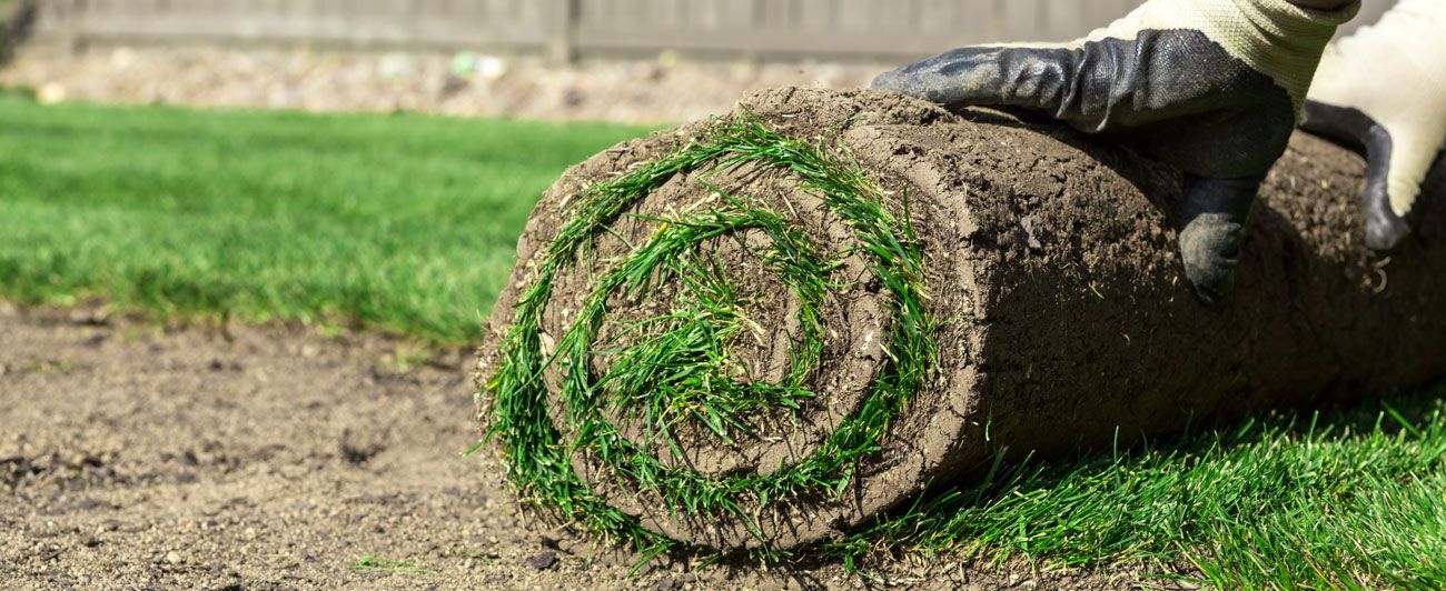 Arbeiter der Rollrasen verlegt
